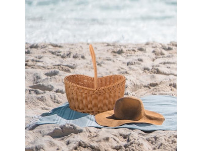 पिकनिक टोकरी आयात और निर्यात धारीदार पैकेजिंग लकड़ी के ढक्कन के साथ कूलर