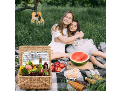 पिकनिक टोकरी कंधे की पट्टी के साथ विकर 4 व्यक्ति टोकरियाँ बैग्स के लिए