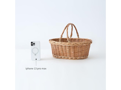 भंडारण टोकरी पिकनिक रतन नीला विकर इंसुलेटेड आउटडोर कूलर विलो विकर